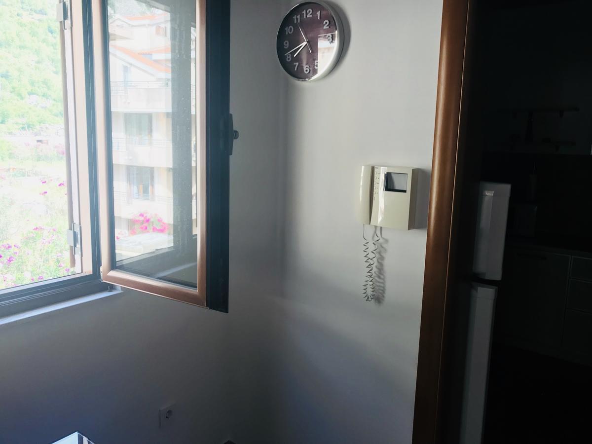 Apartments Sneza 里桑 外观 照片
