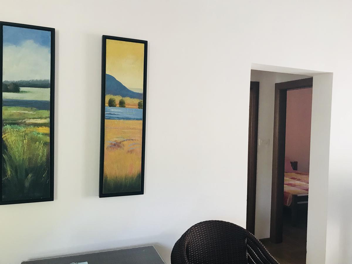 Apartments Sneza 里桑 外观 照片
